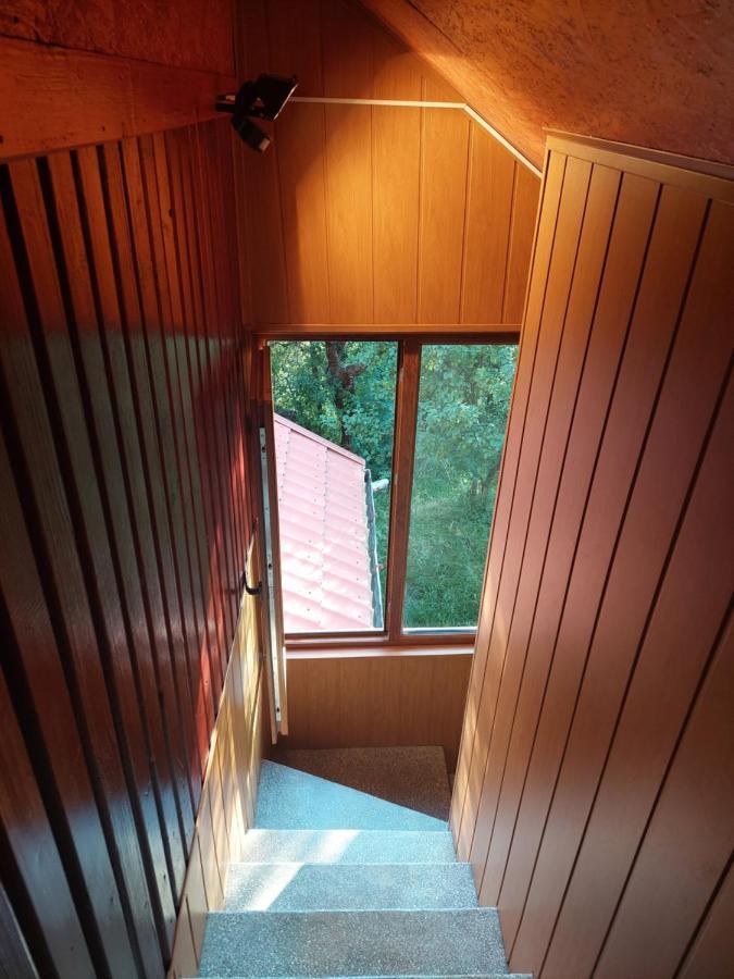 Cabana Cu Teren De Tenis -- Etaj Banita Экстерьер фото
