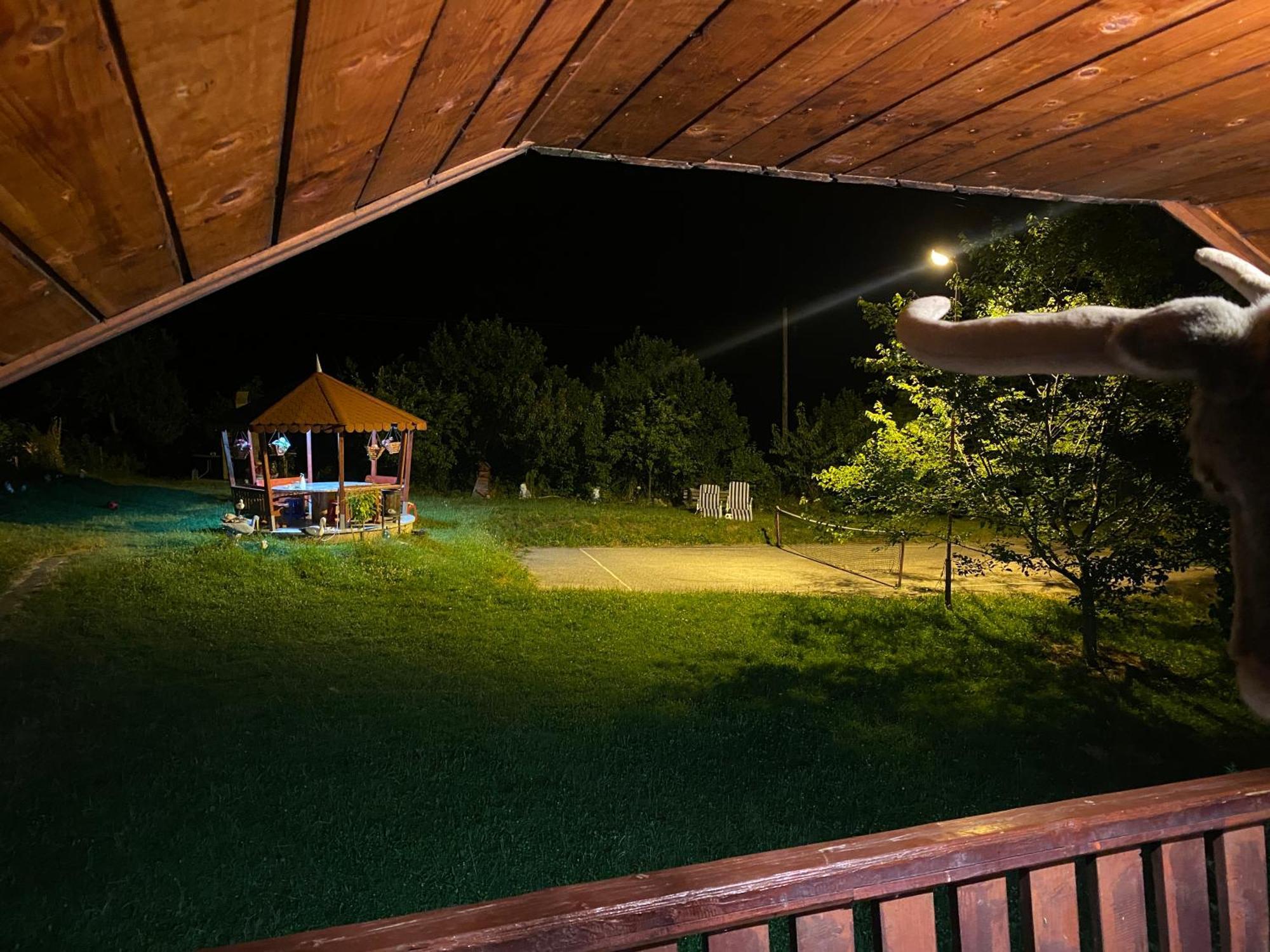 Cabana Cu Teren De Tenis -- Etaj Banita Экстерьер фото
